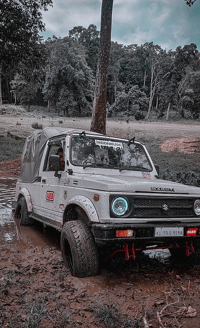 选中潜力新 选中潜力新