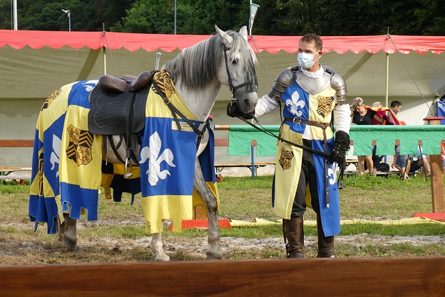 准的球员 准的球员