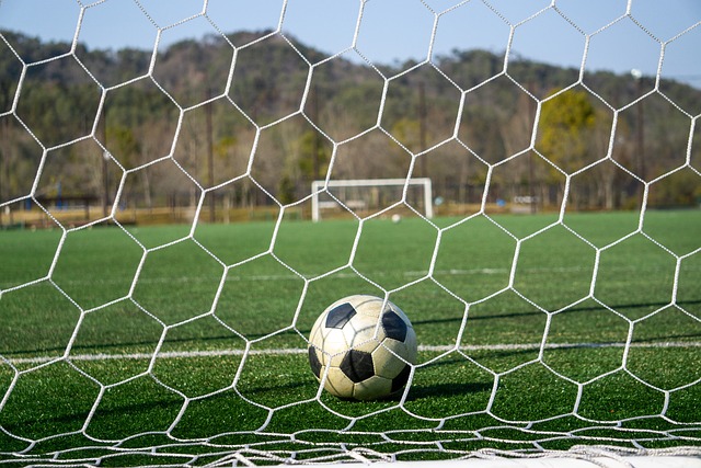 网坛的发展 网坛的发展